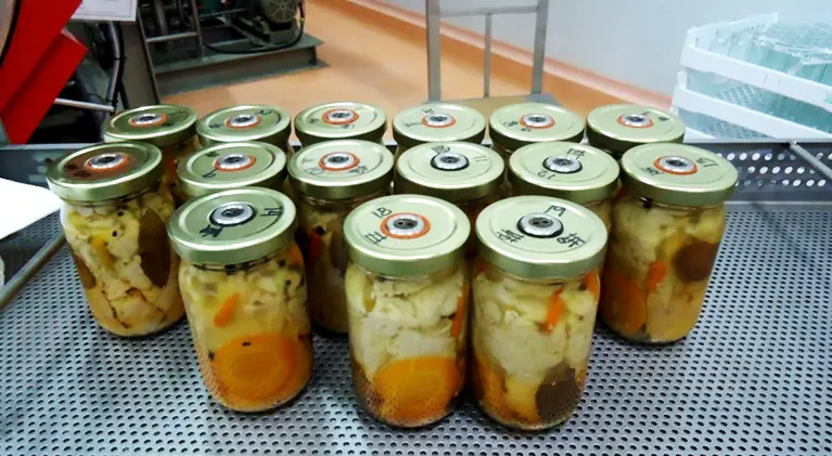 Sterilization 2