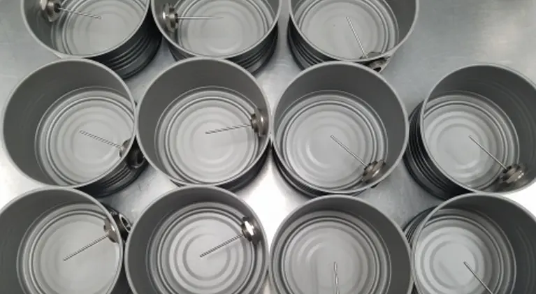 Sterilization 4