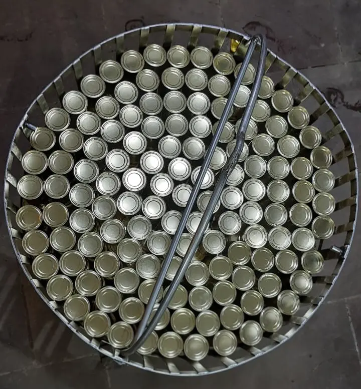 thermal process authority India