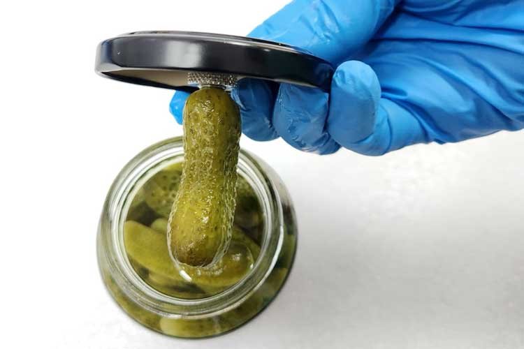 thermal process authority in india